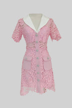 Lace Mini Dress with Contrast Collar and Jewel Buttons - Pink