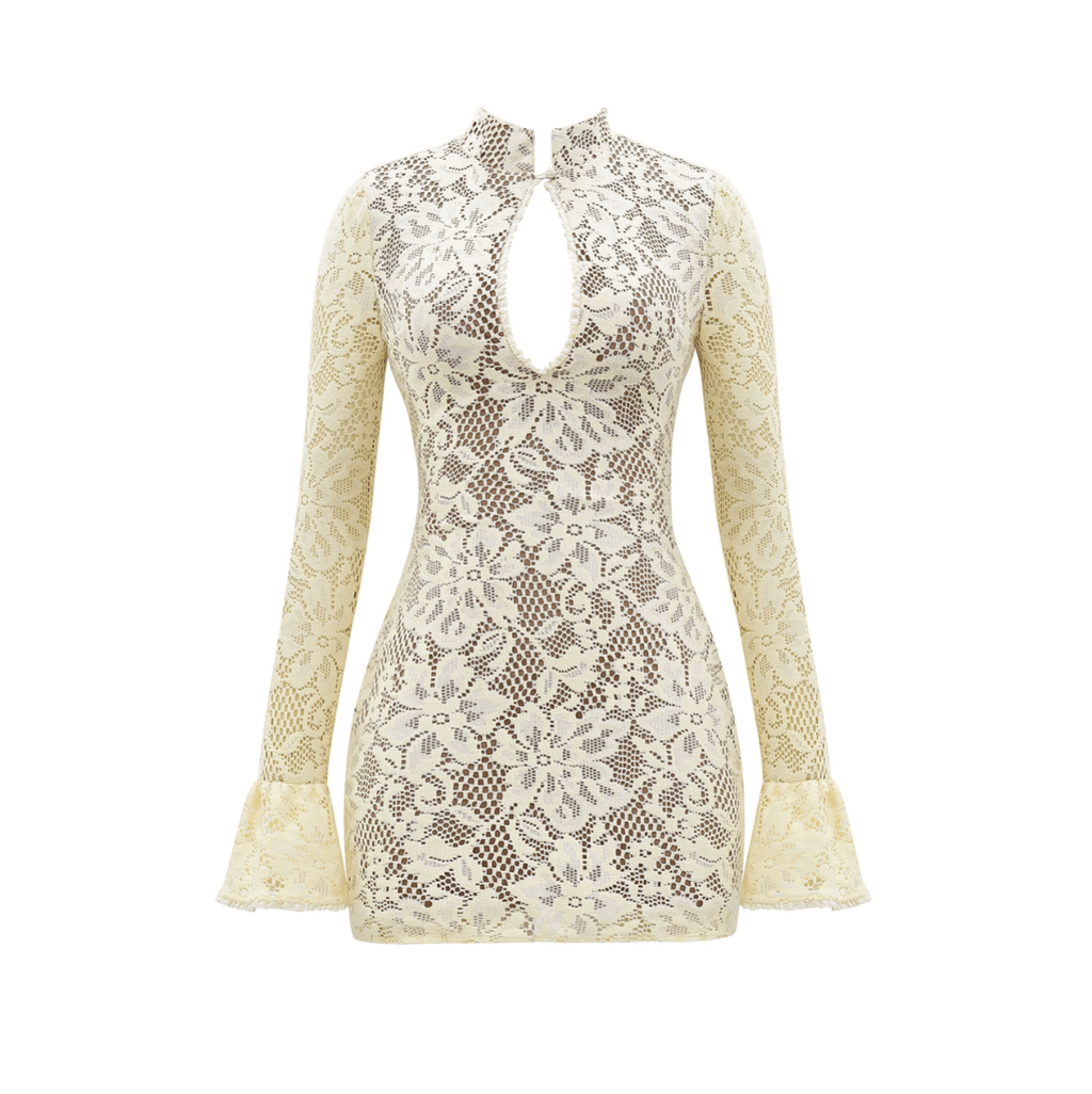 Bella Vita Lace Mini Dress