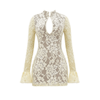 Bella Vita Lace Mini Dress