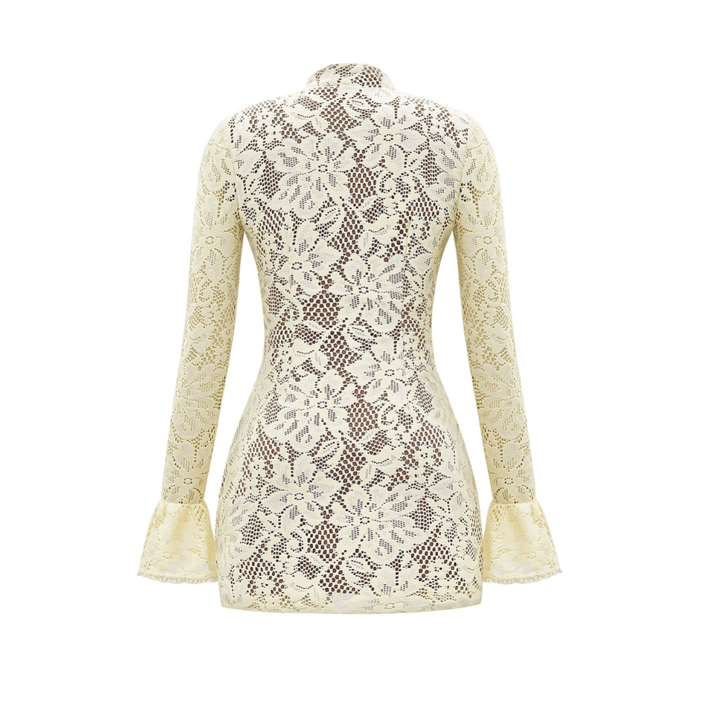Bella Vita Lace Mini Dress