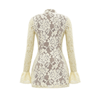Bella Vita Lace Mini Dress