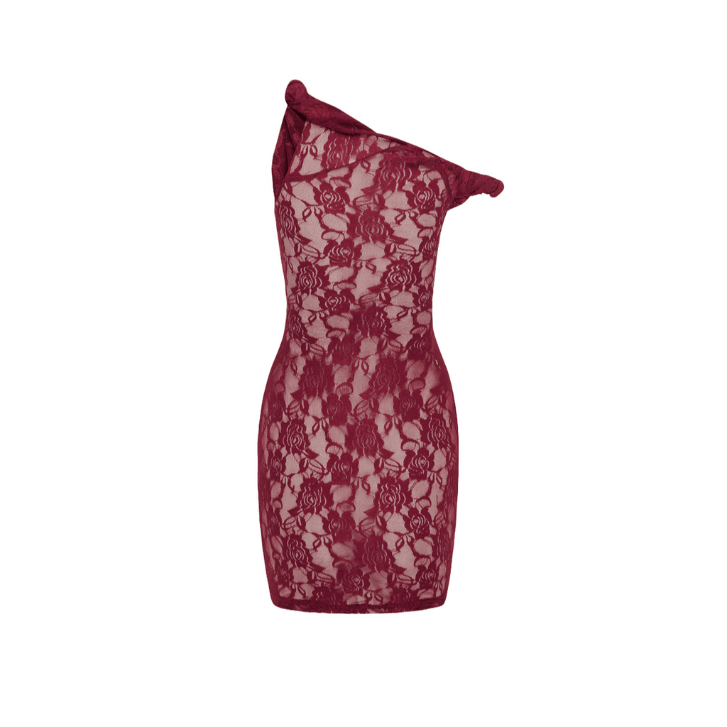 Edith Burgundy Lace Mini Dress